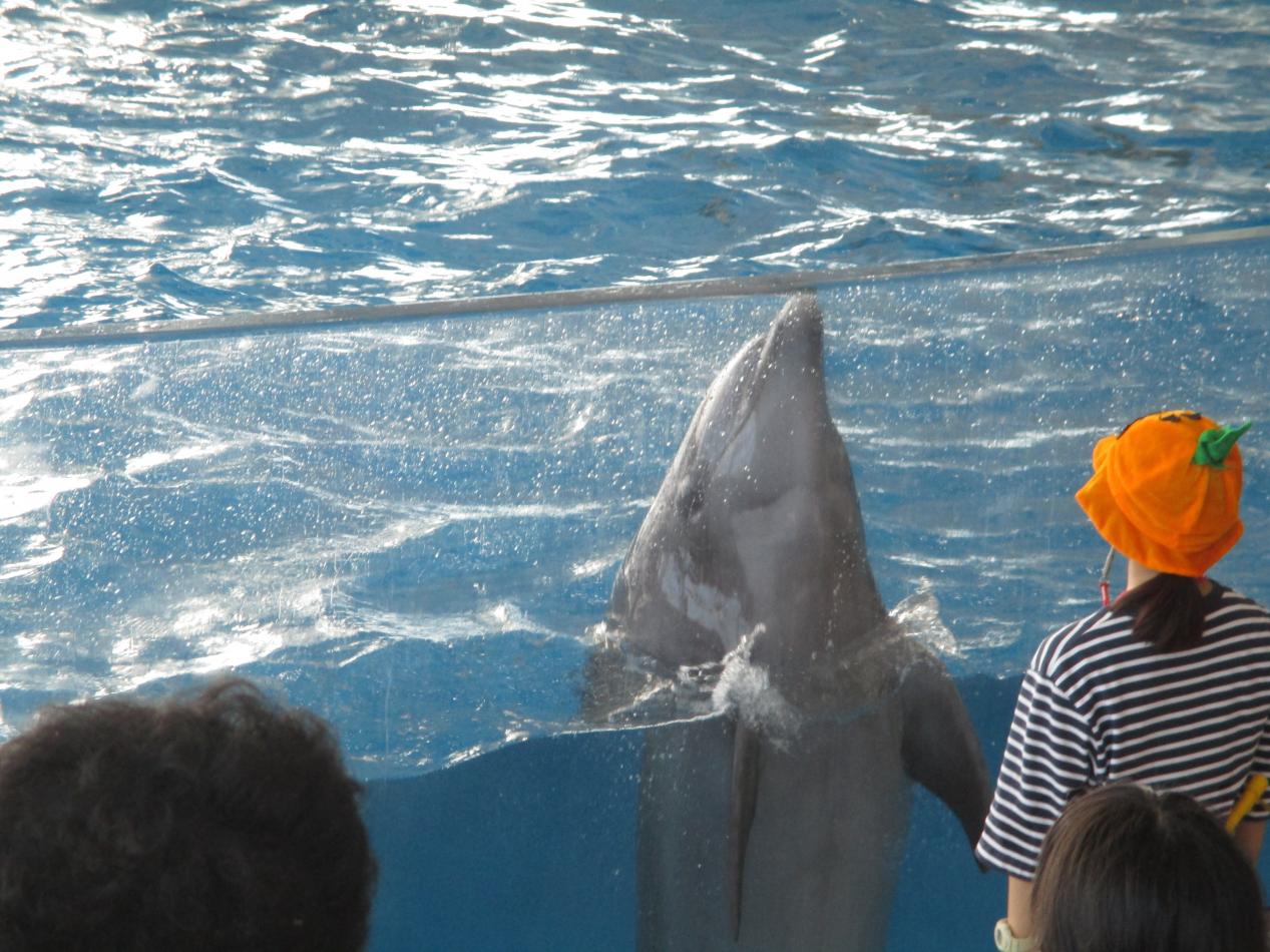 IMG_0140 IMG_0140