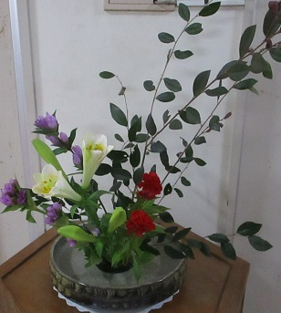 IMG_4653 IMG_4653