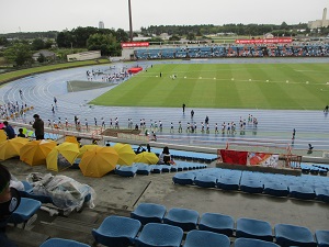 IMG_6217 IMG_6217