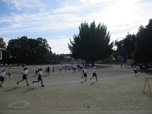 IMG_2983 IMG_2983