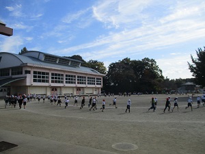 IMG_2985 IMG_2985