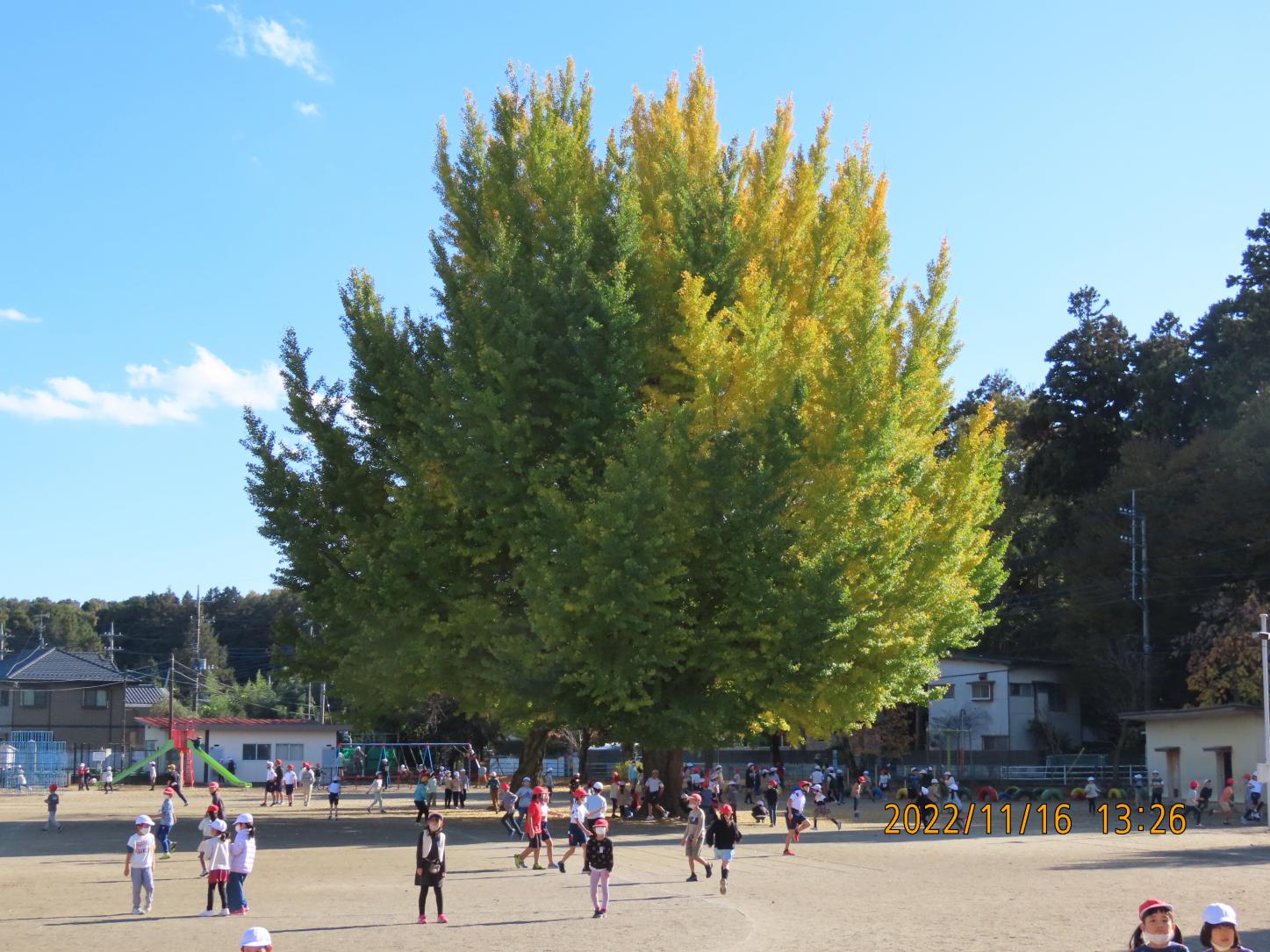 IMG_0010 IMG_0010