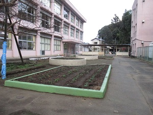 IMG_6057 IMG_6057