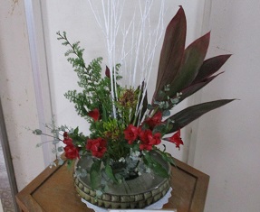 IMG_4975 IMG_4975