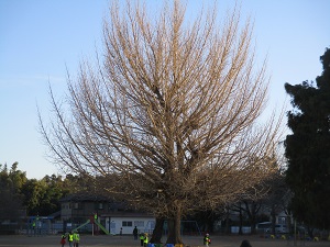 IMG_6877 IMG_6877