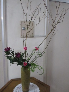 IMG_5019 IMG_5019