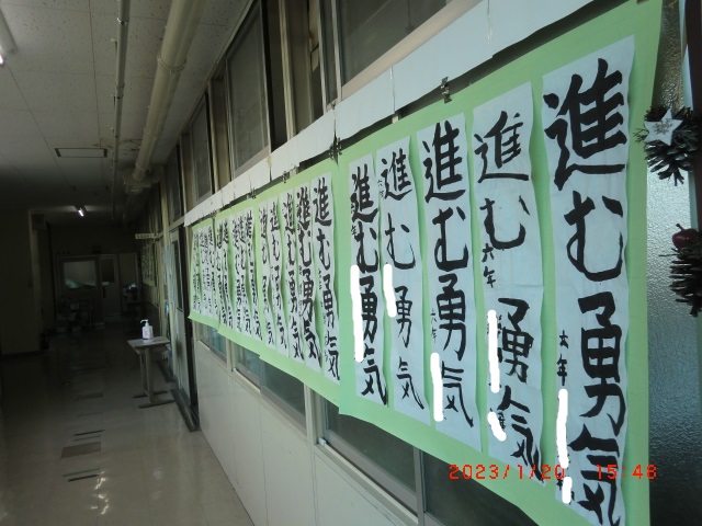 CIMG5027 CIMG5027