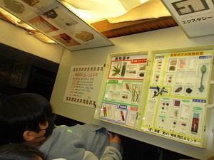 IMG_6530 IMG_6530