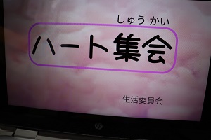 IMG_5474 IMG_5474
