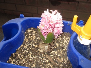 IMG_0454 IMG_0454