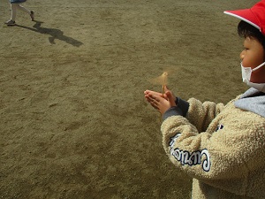 IMG_6367 IMG_6367
