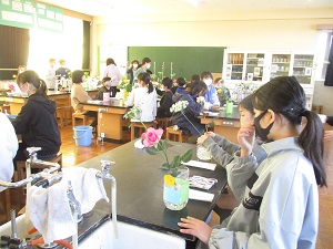IMG_0461 IMG_0461