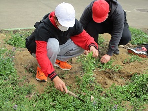 IMG_6505 IMG_6505