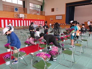 IMG_0436 IMG_0436