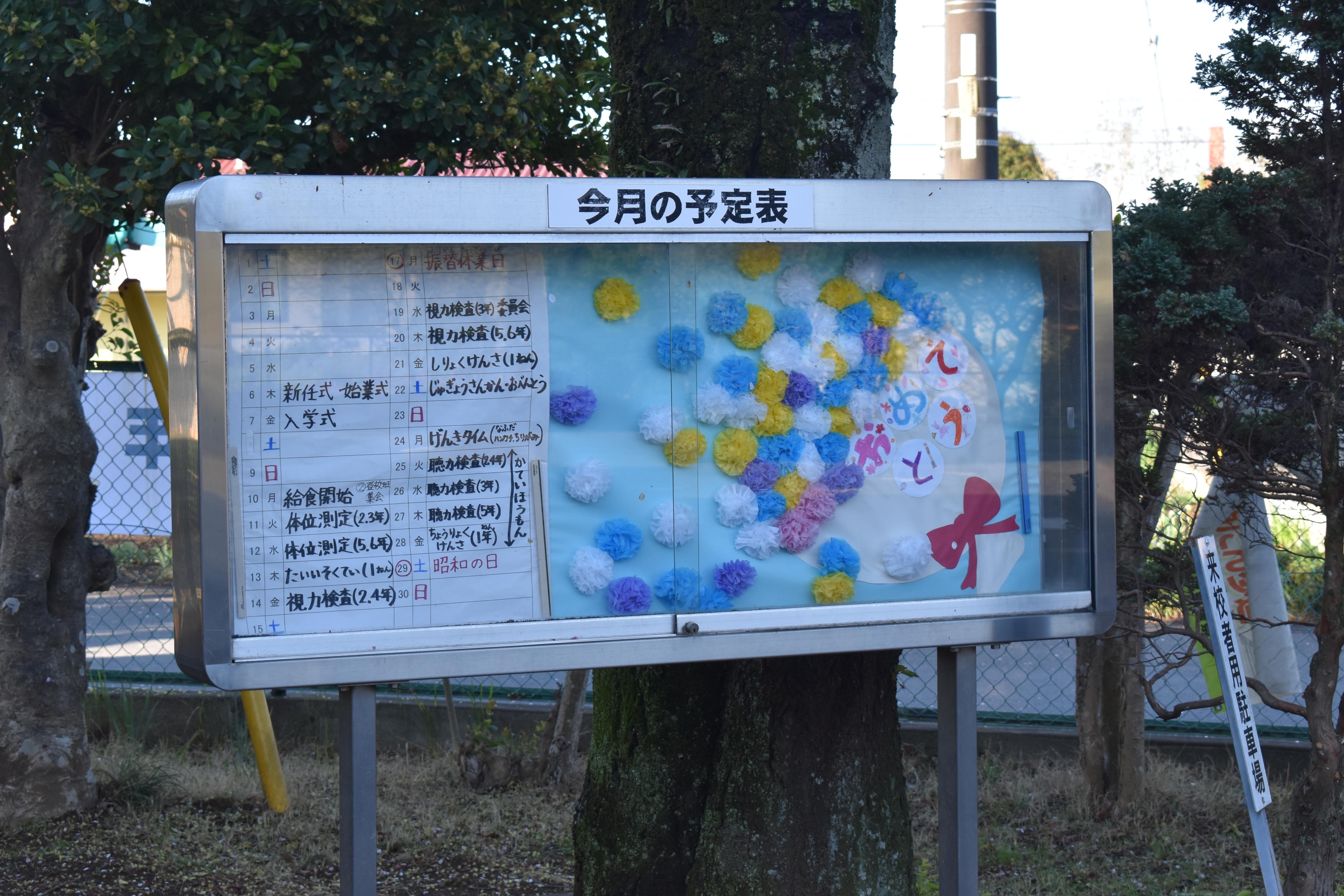 DSC_0266 DSC_0266
