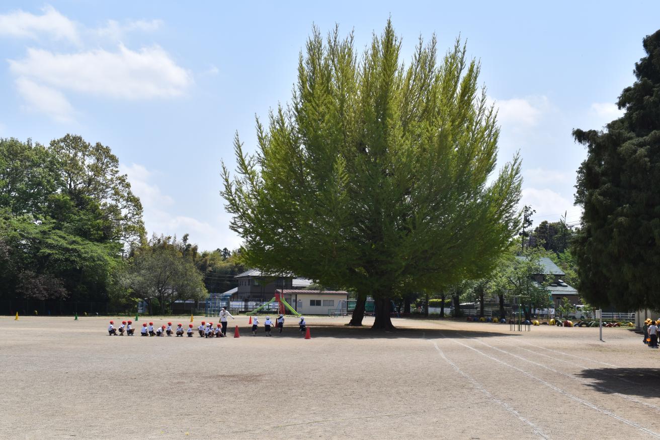 DSC_0380 DSC_0380