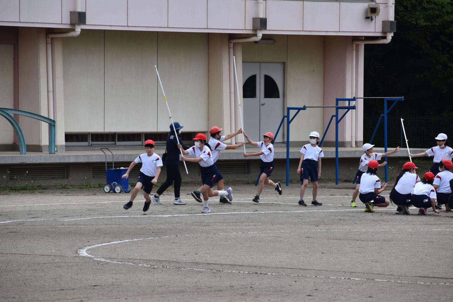DSC_0515 DSC_0515