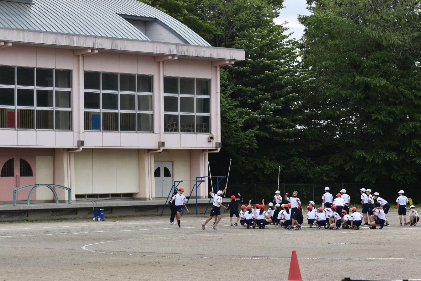 DSC_0520 DSC_0520