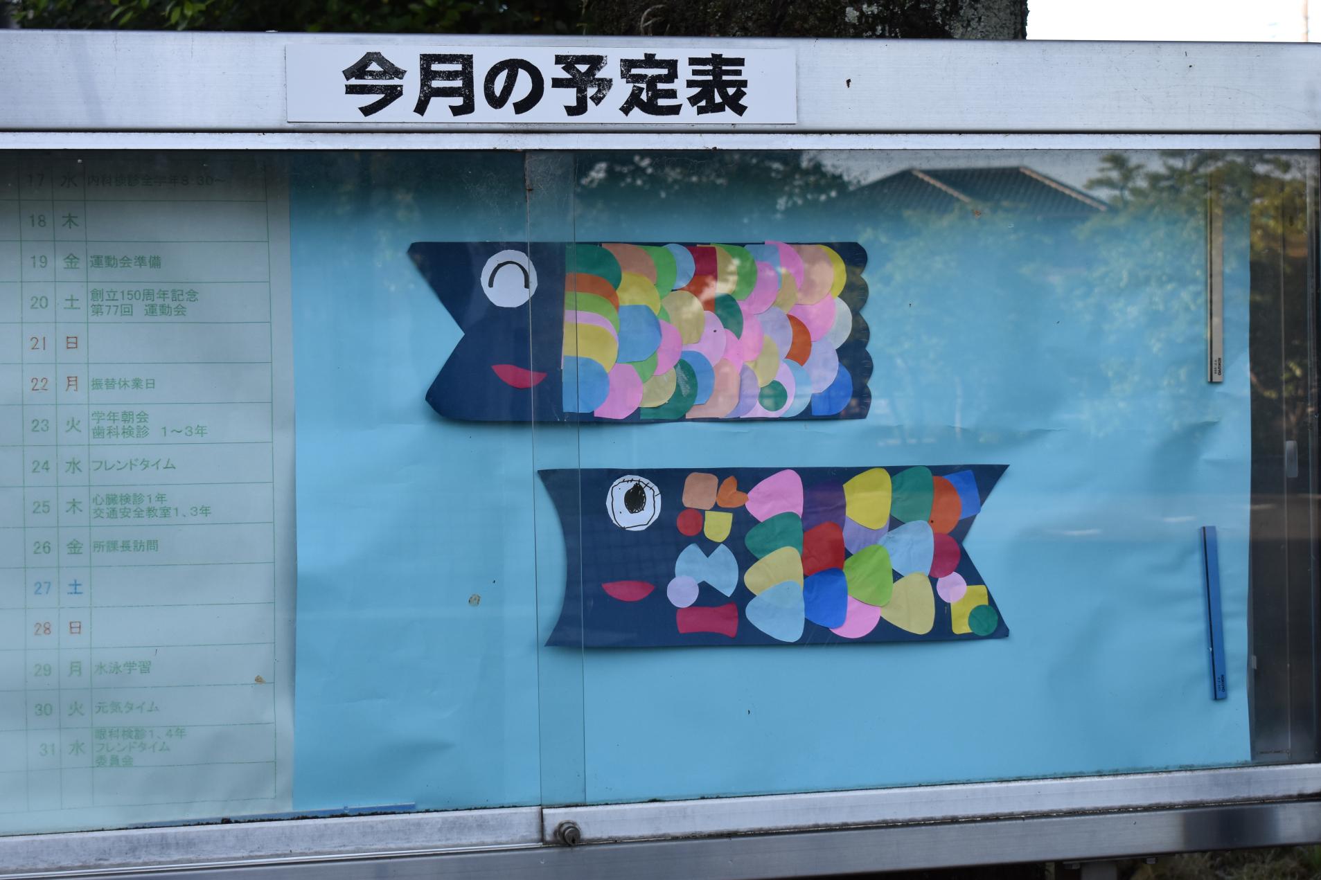 DSC_0534 DSC_0534