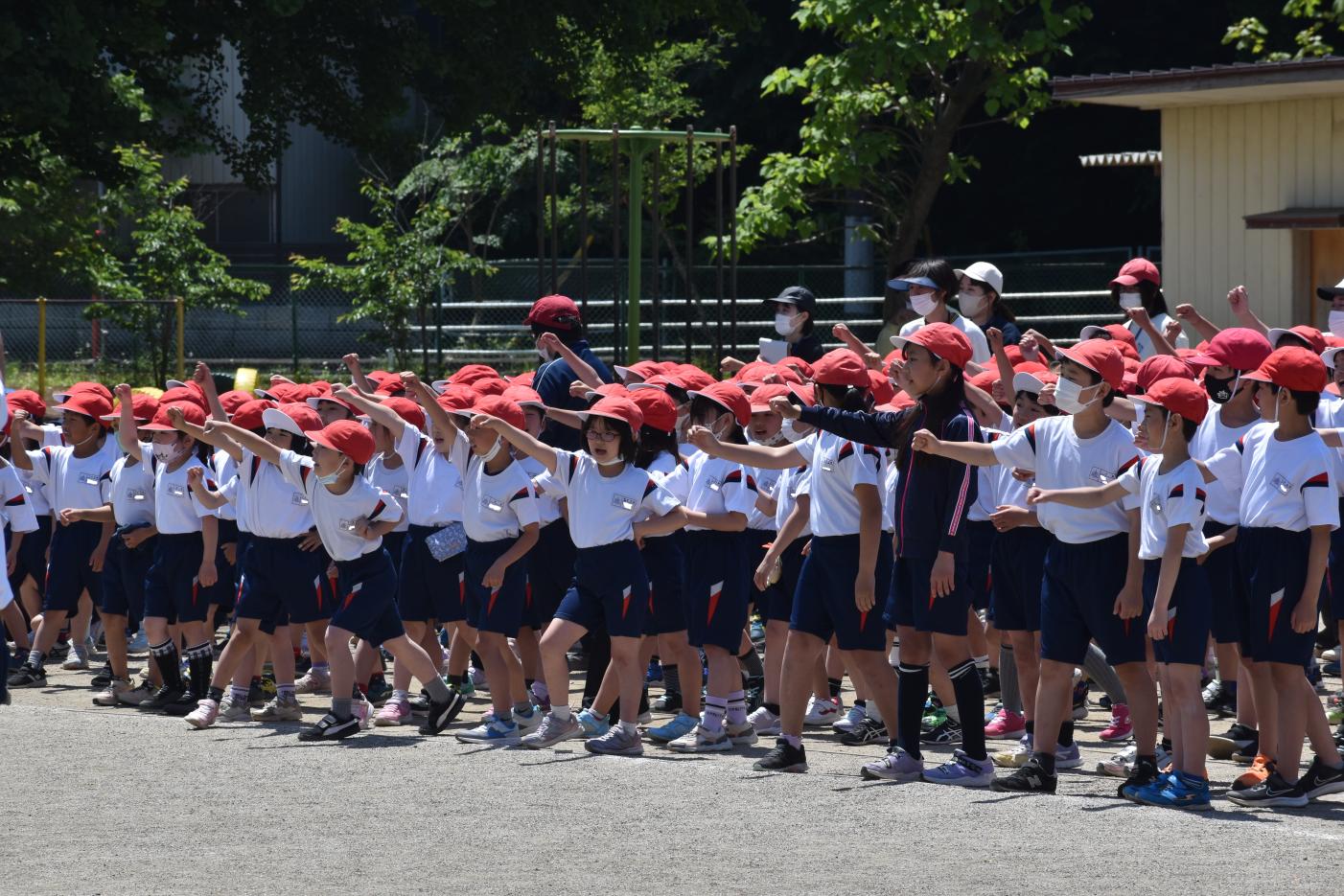 DSC_0620 DSC_0620