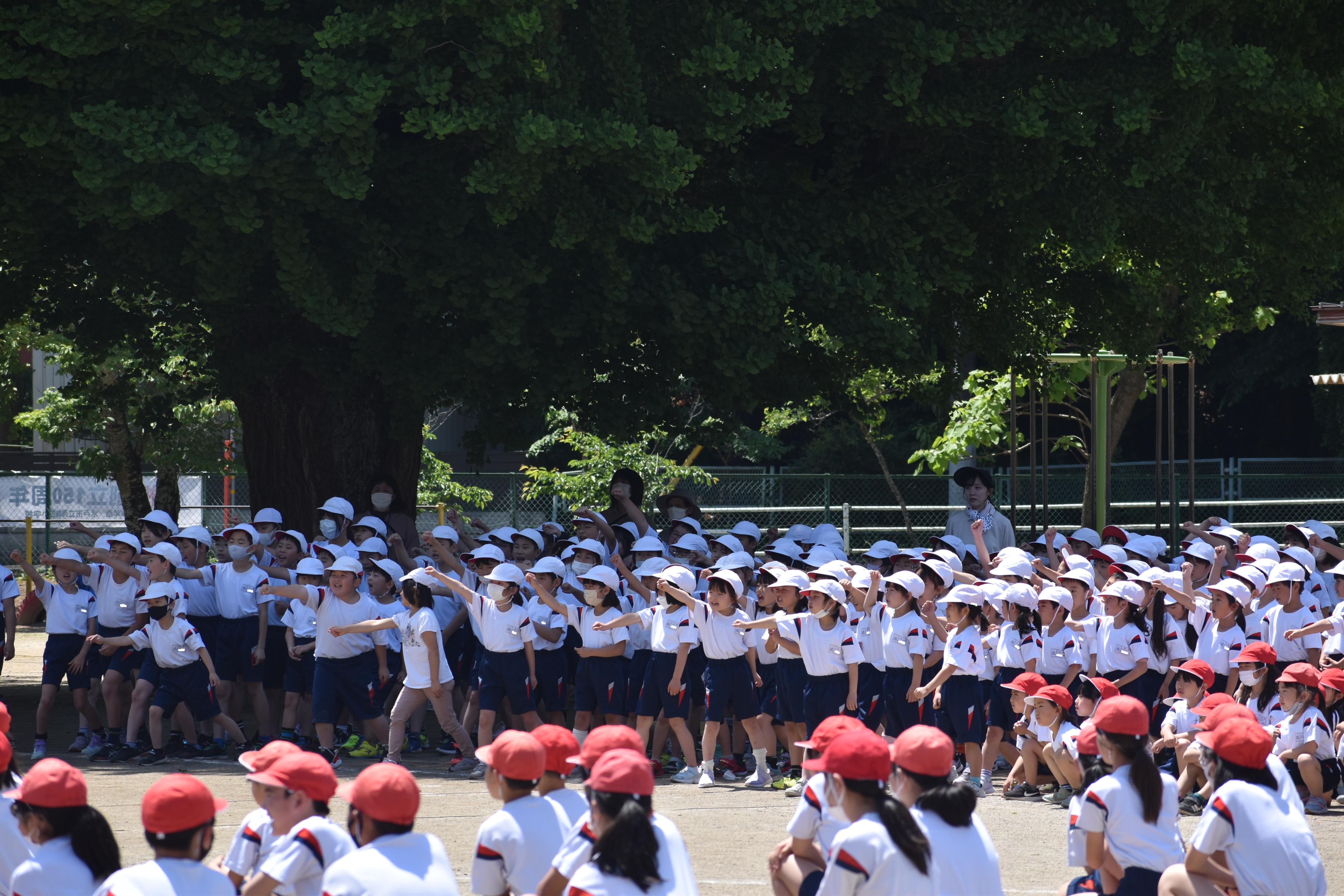 DSC_0615 DSC_0615