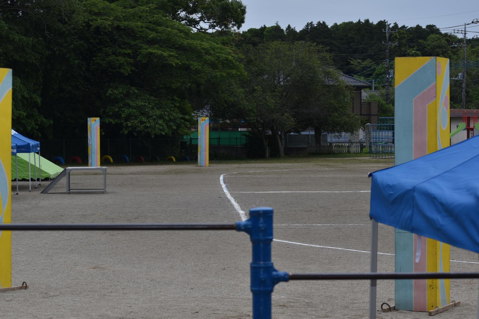 DSC_0678 DSC_0678