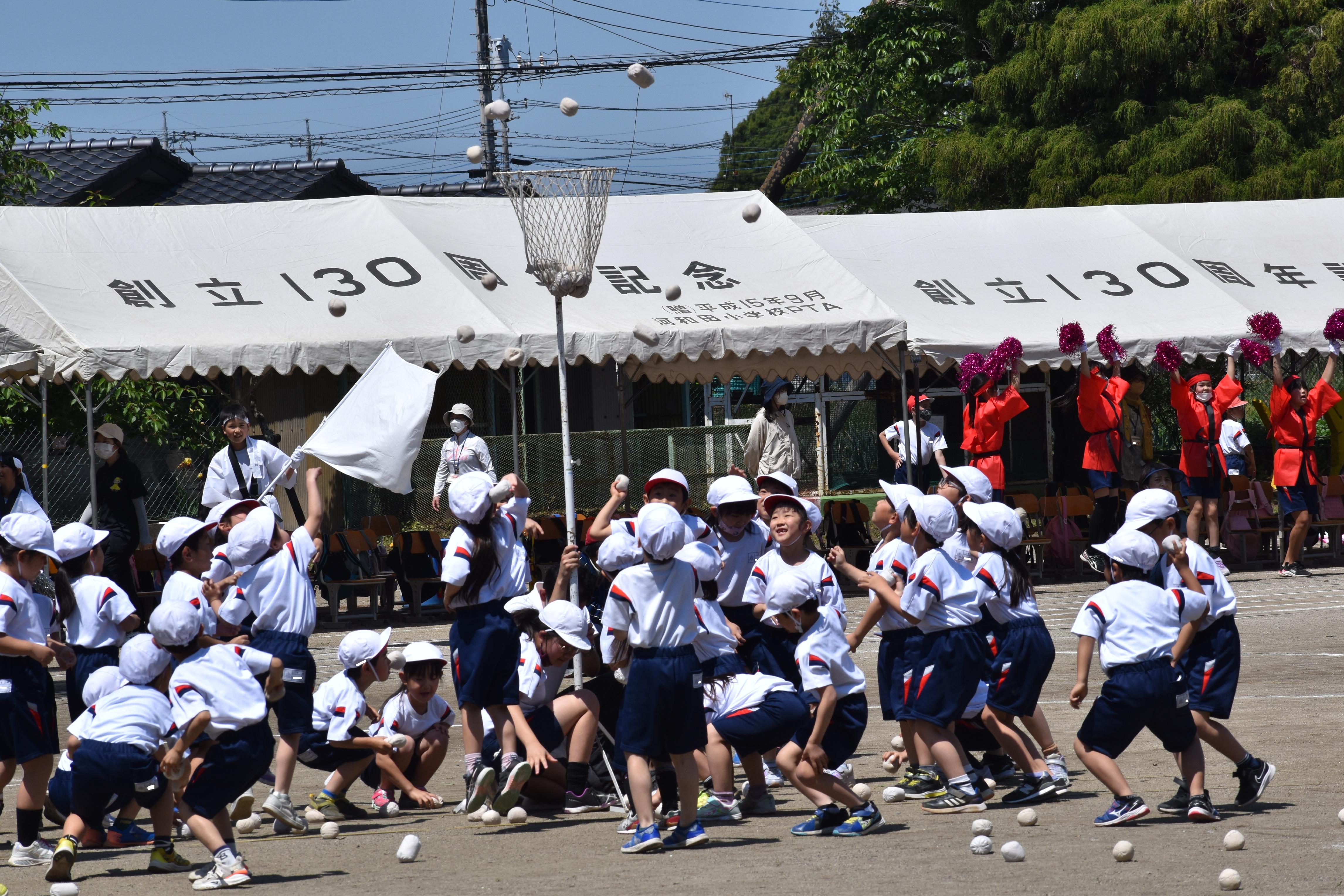 DSC_0738 DSC_0738