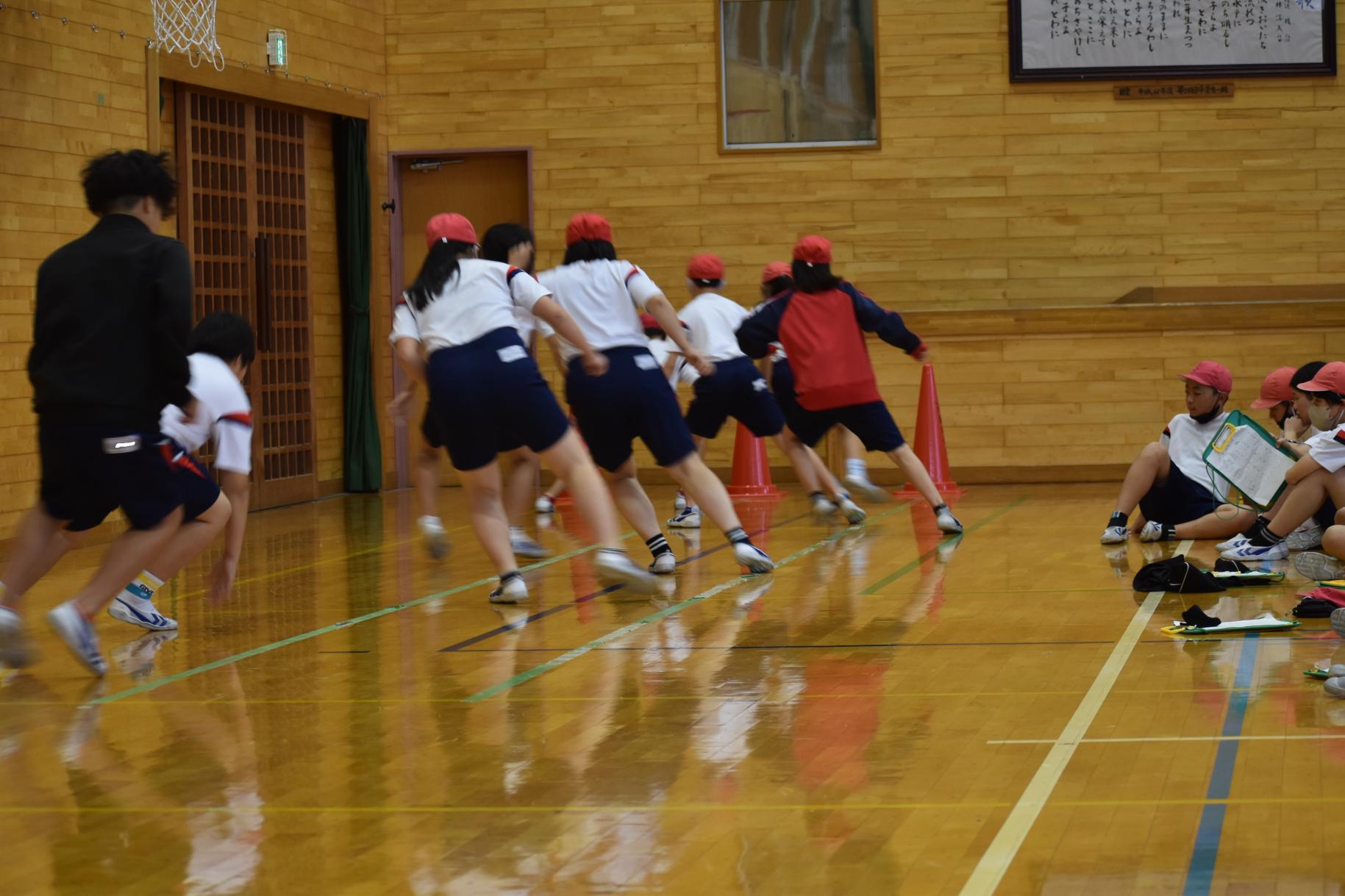 DSC_0984 DSC_0984