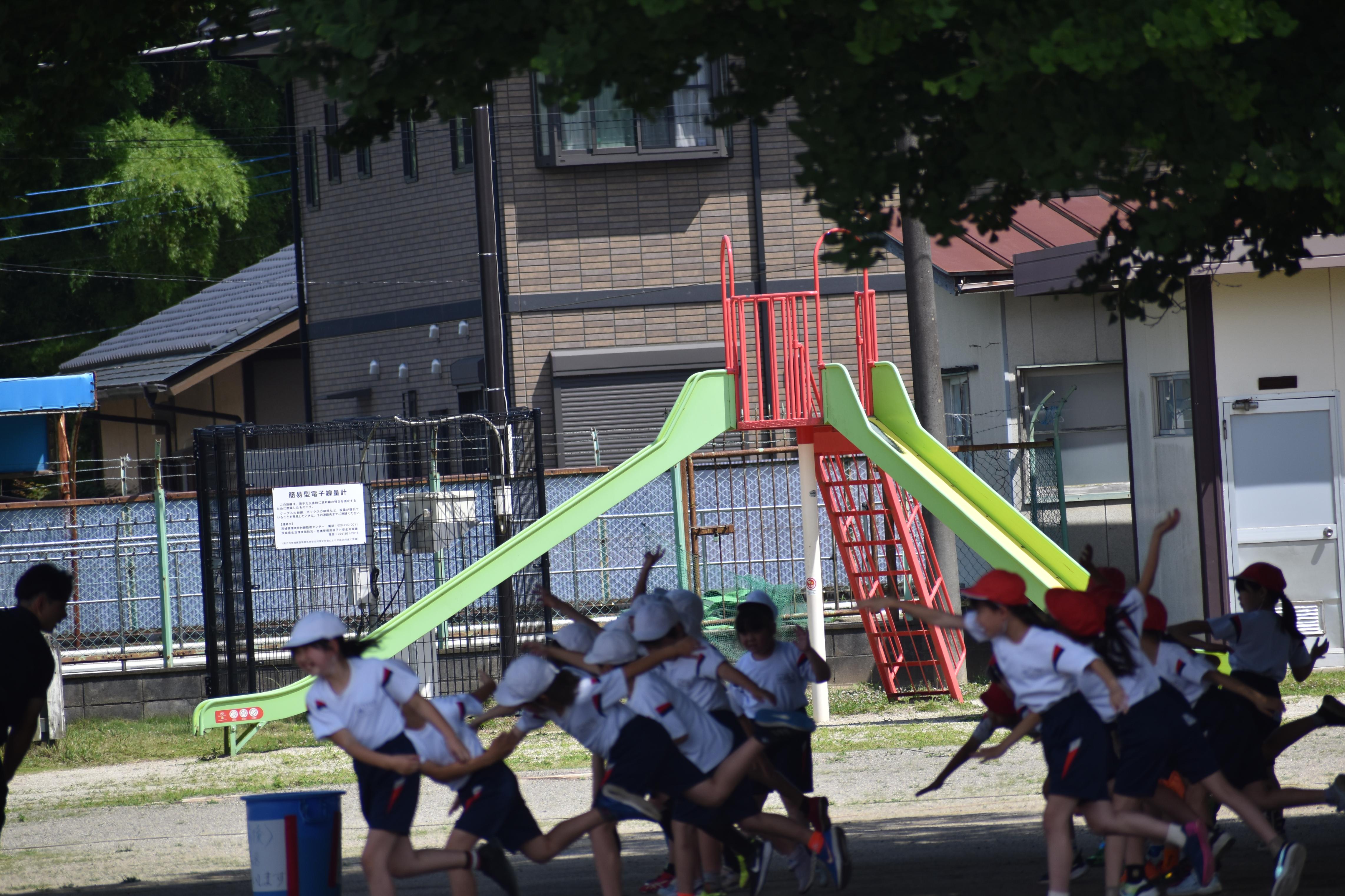DSC_1005 DSC_1005