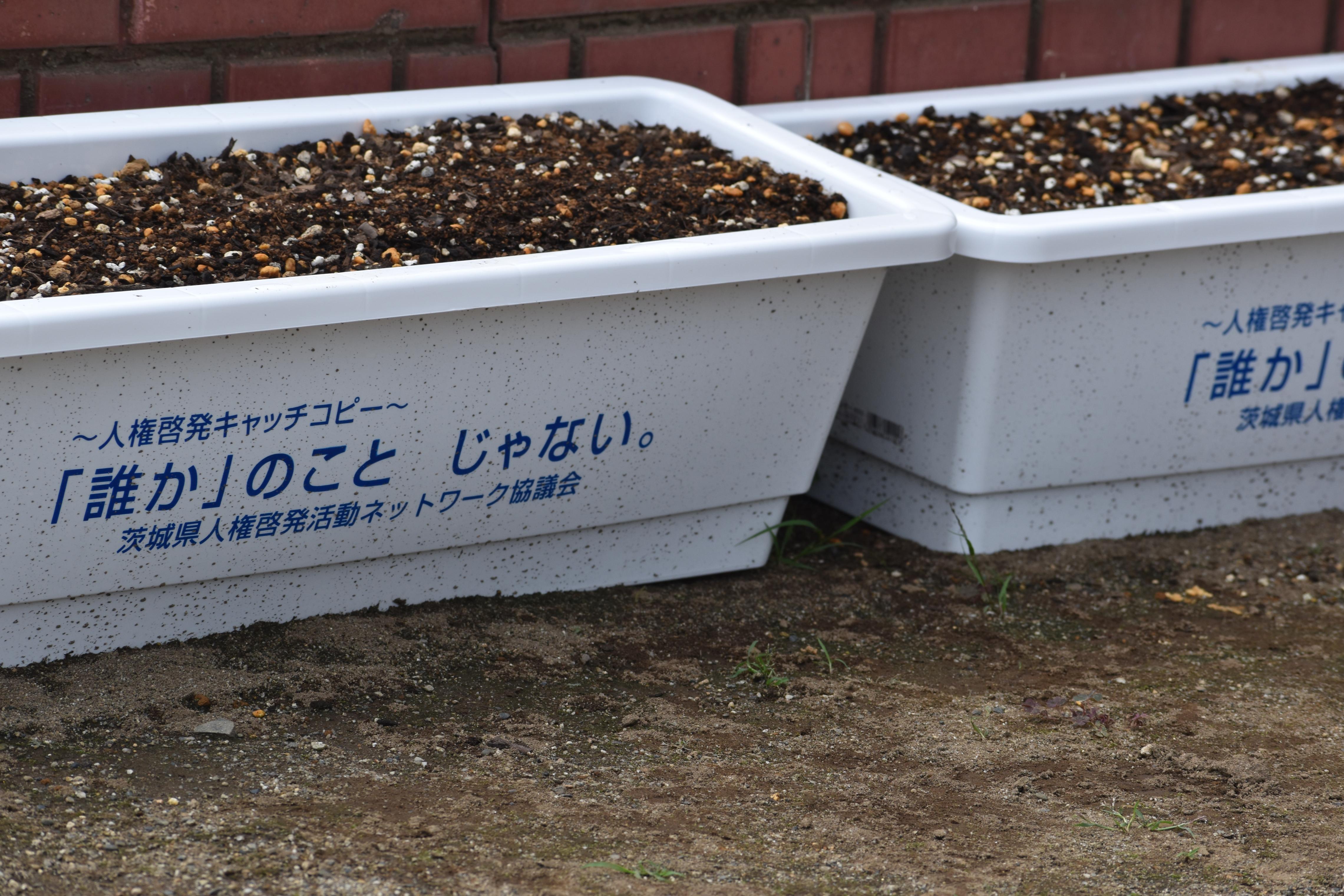 DSC_0205 DSC_0205