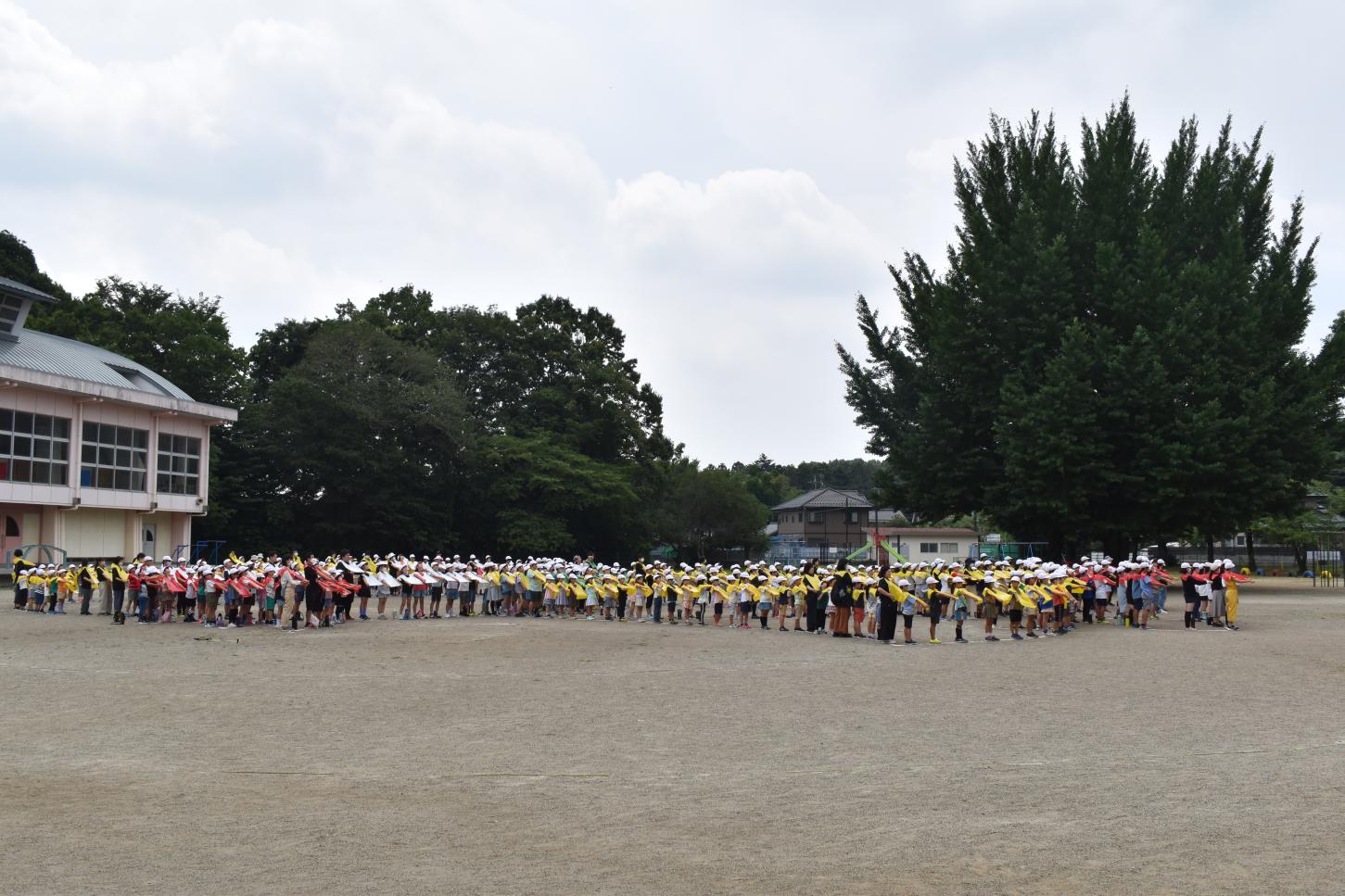DSC_0260 DSC_0260