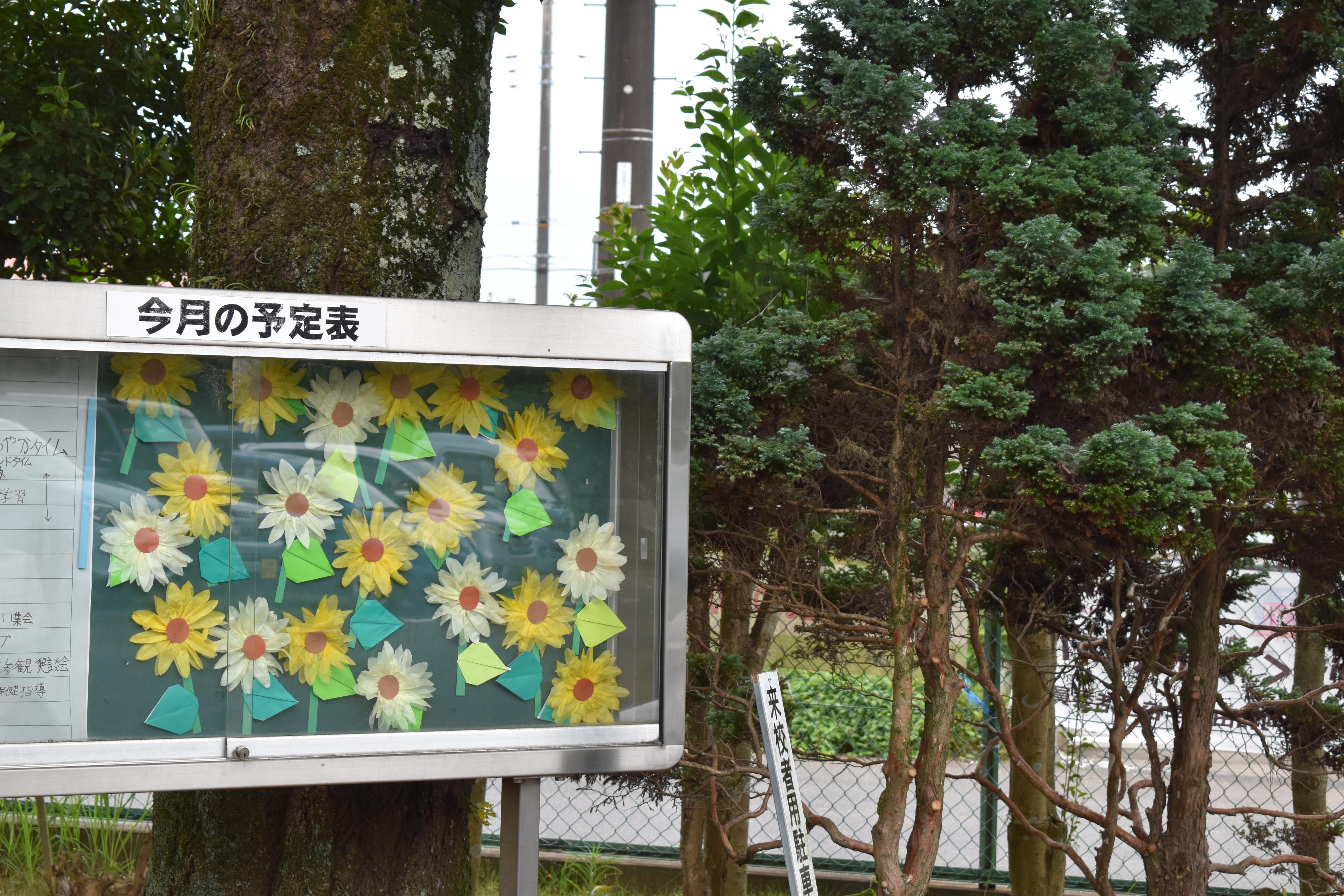 DSC_0377 DSC_0377