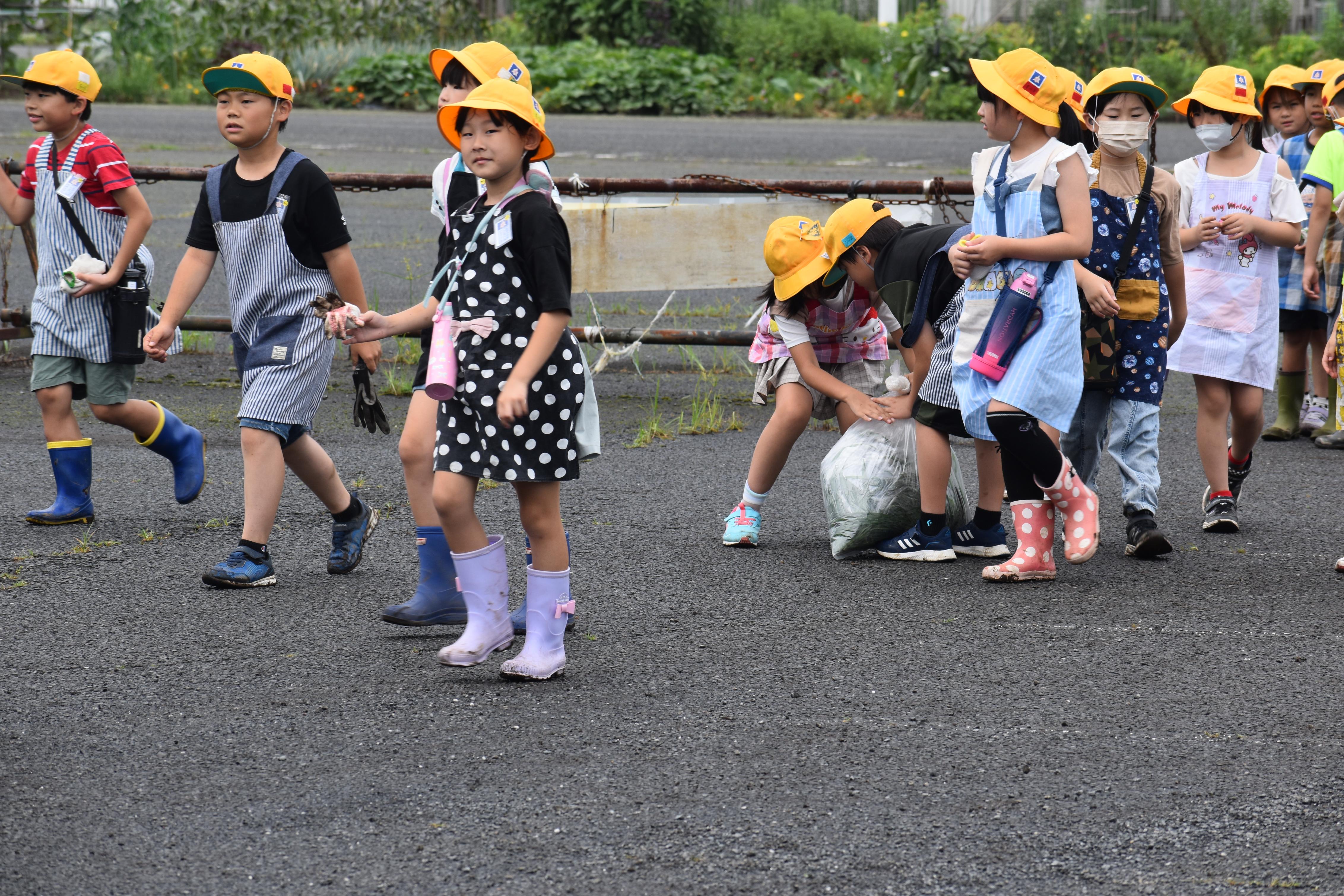 DSC_0463 DSC_0463