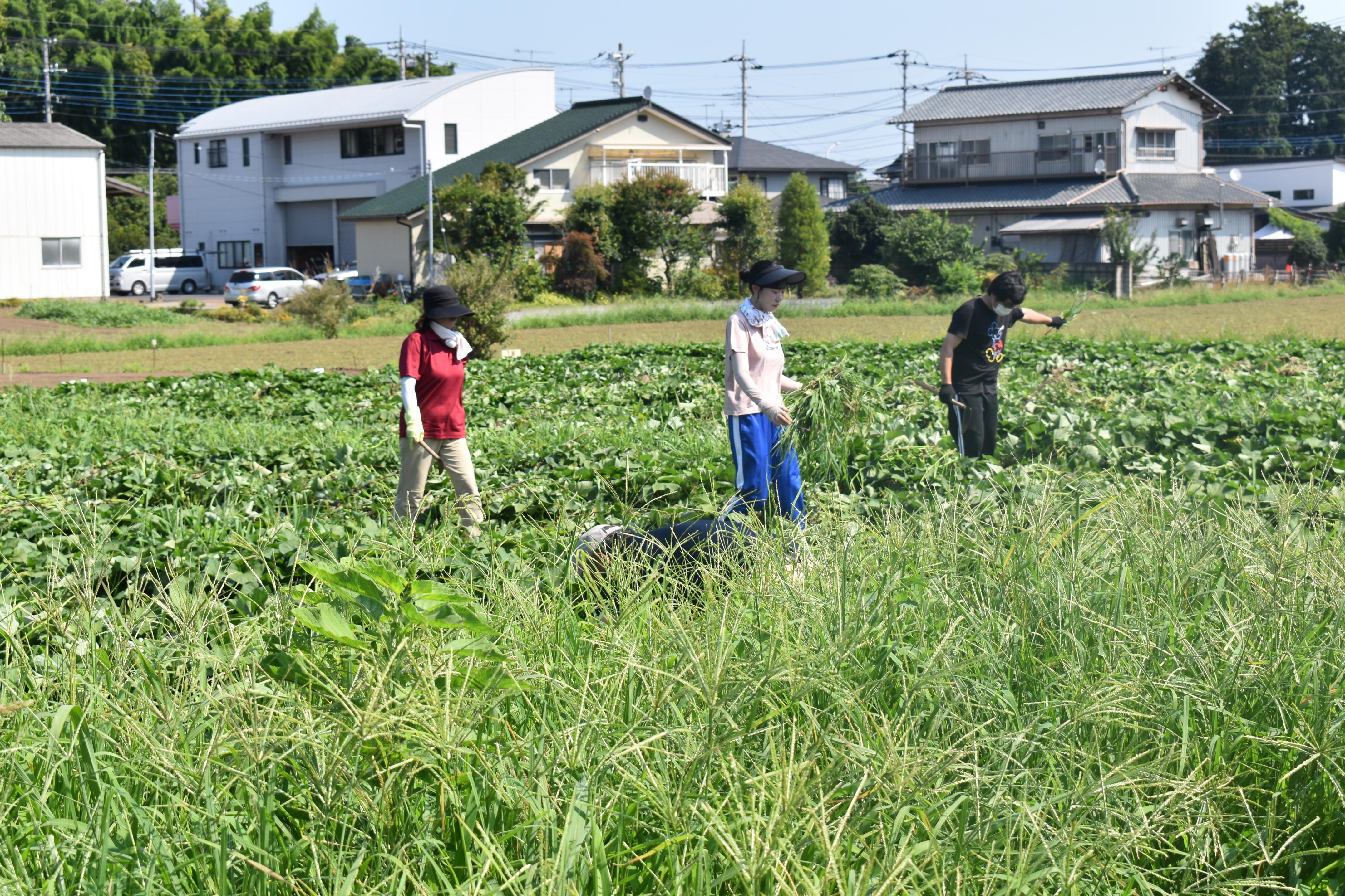 DSC_0548 DSC_0548