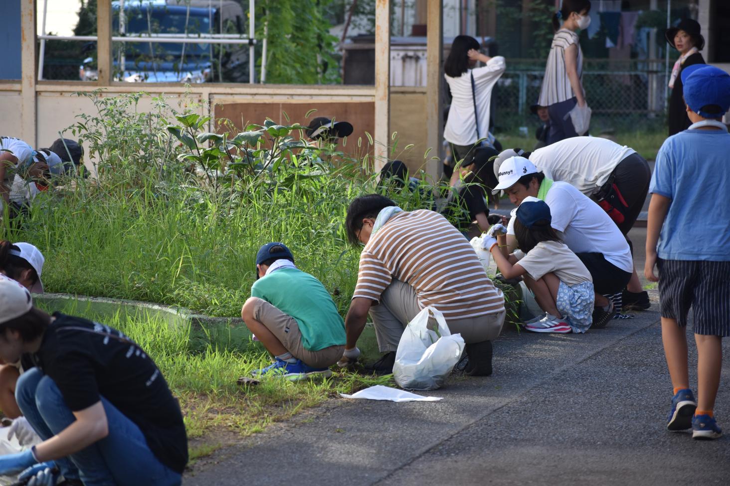 DSC_0574 DSC_0574