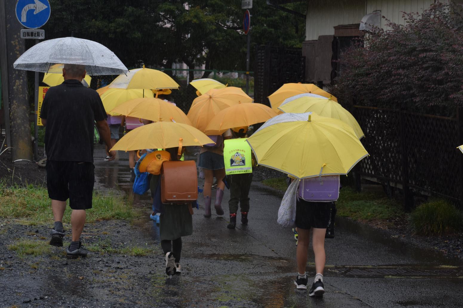 DSC_0635 DSC_0635
