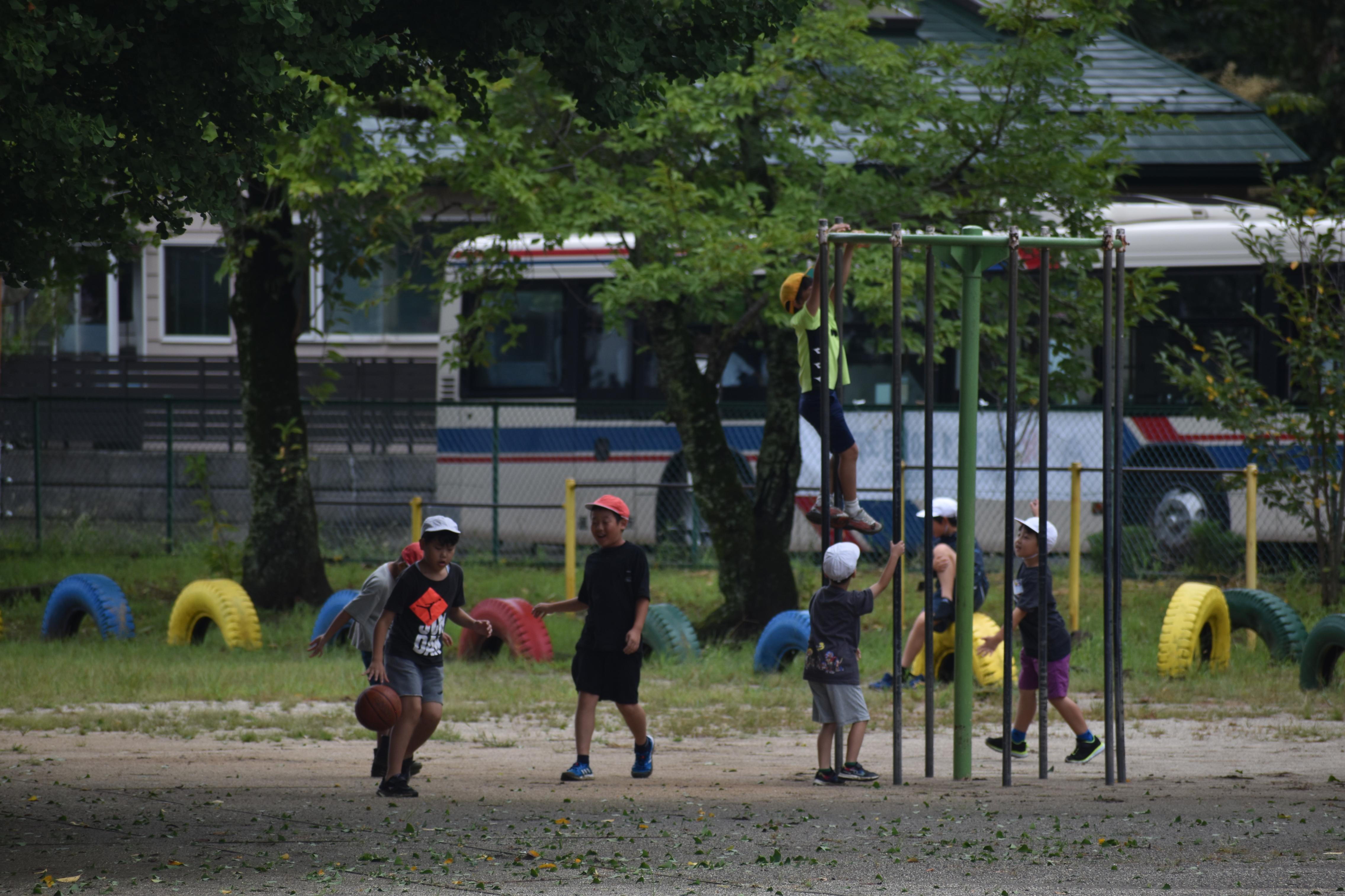 DSC_0638 DSC_0638