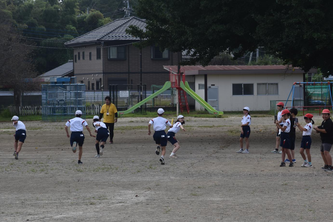 DSC_0726 DSC_0726