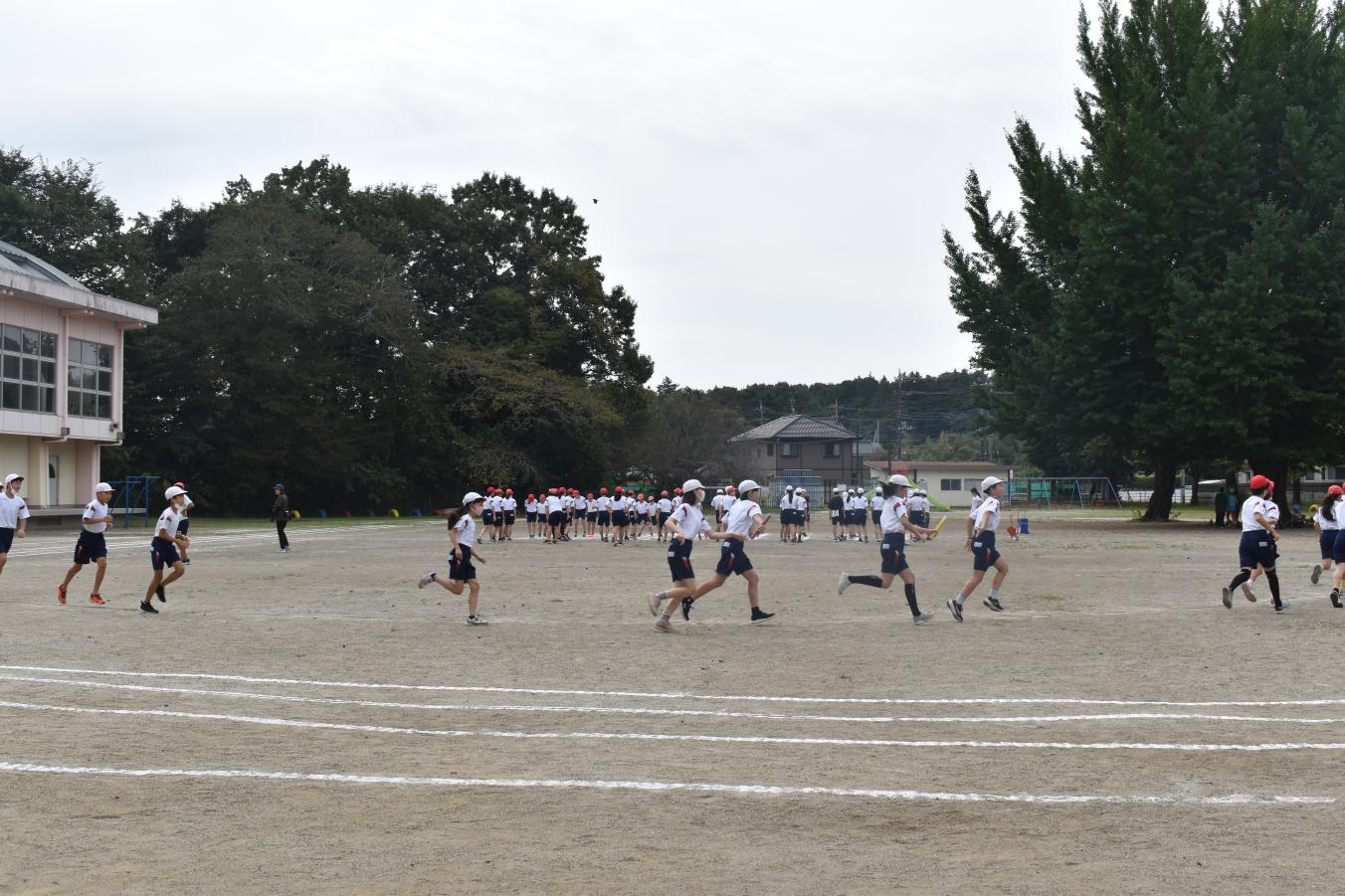 DSC_0789 DSC_0789