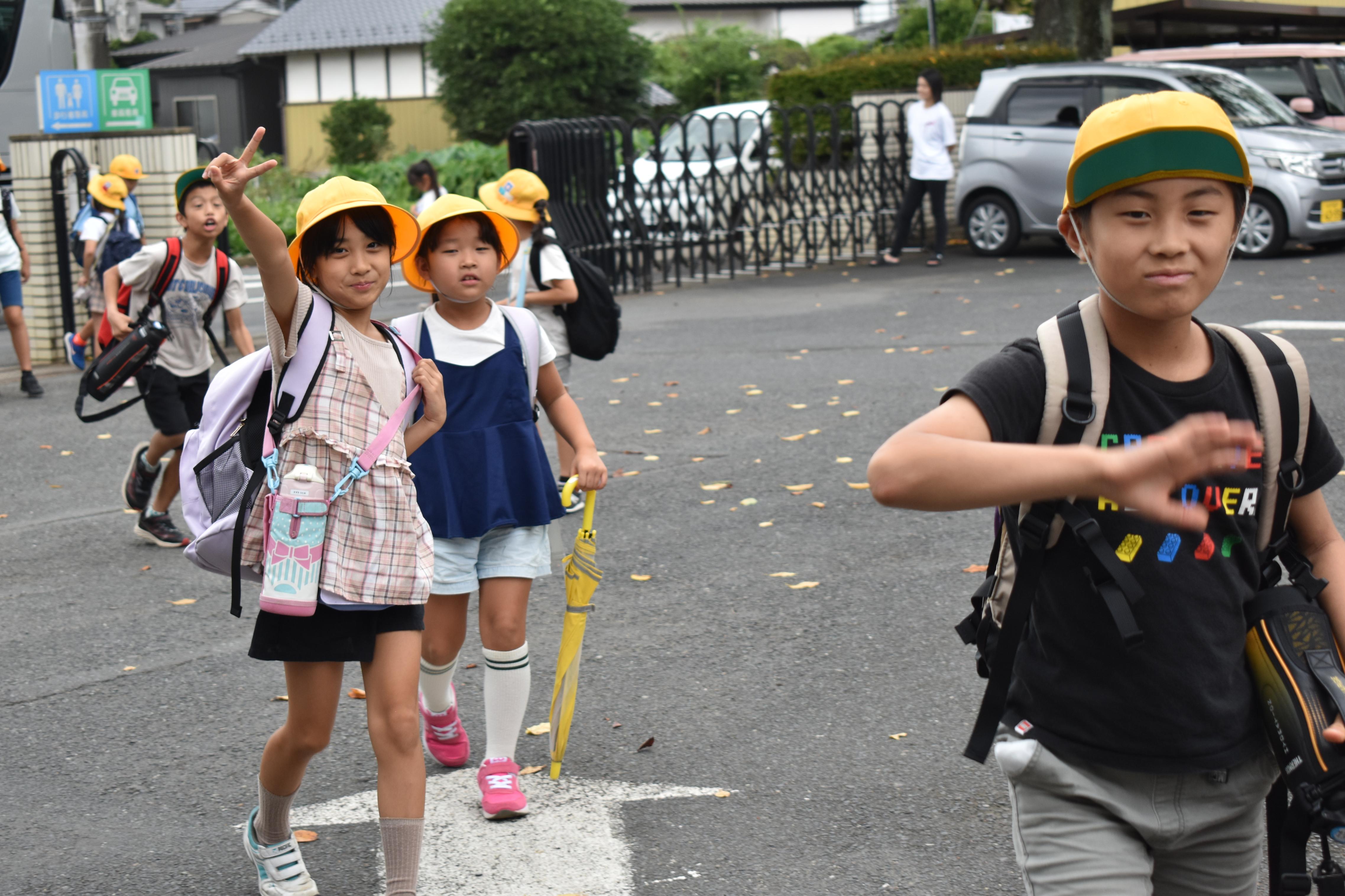 DSC_0861 DSC_0861
