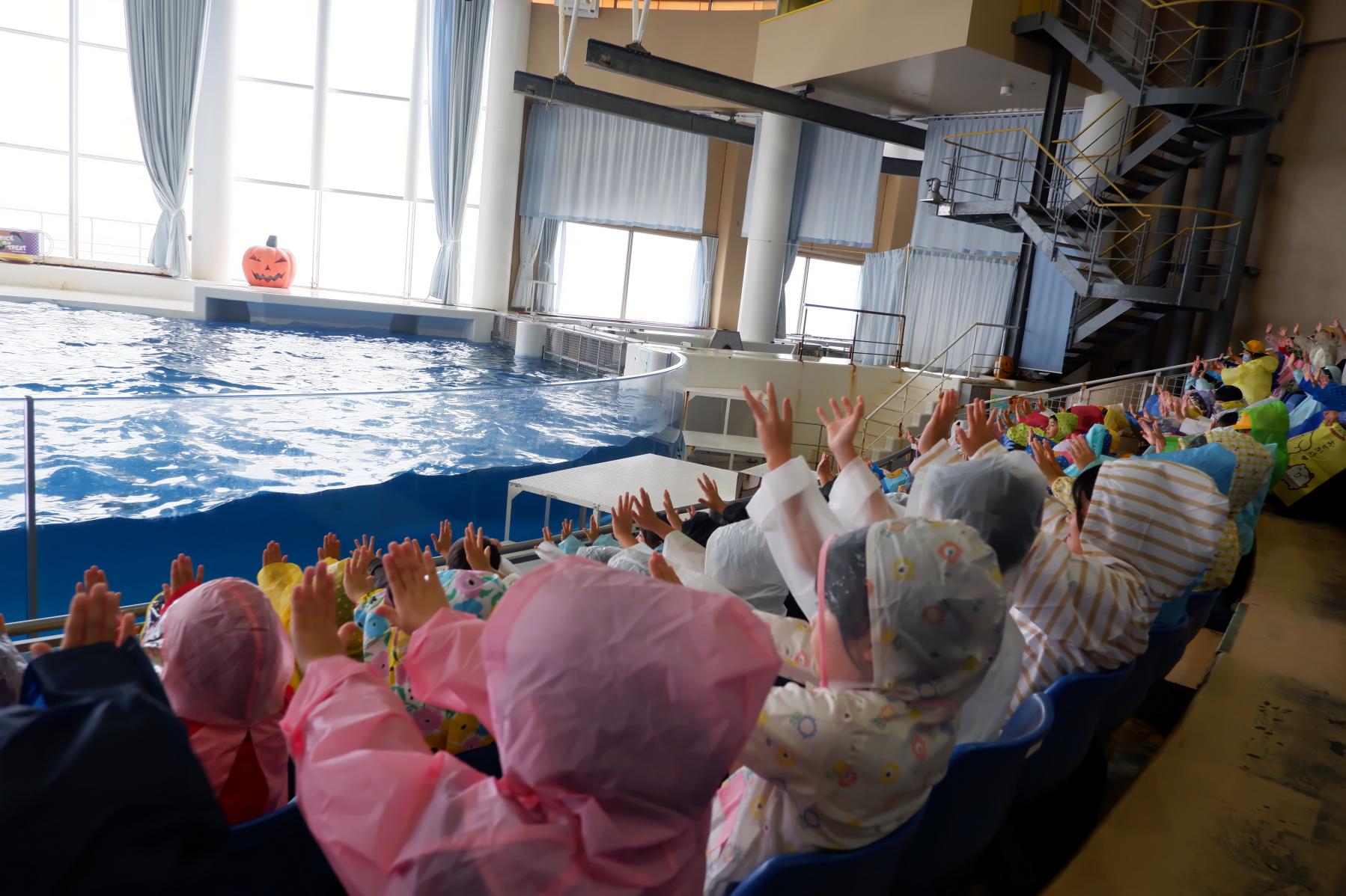 DSCF1123 DSCF1123
