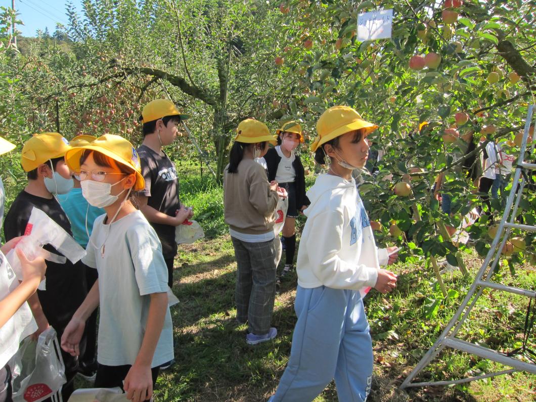IMG_0342 IMG_0342