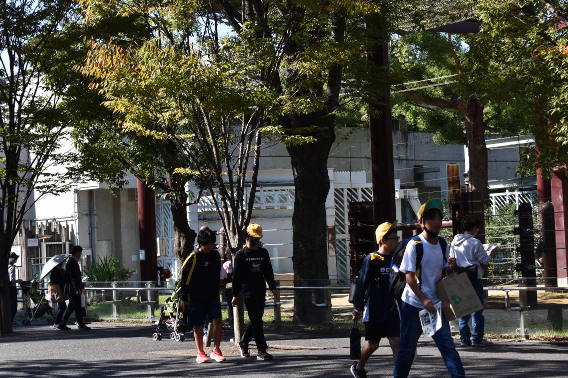 DSC_0172 DSC_0172