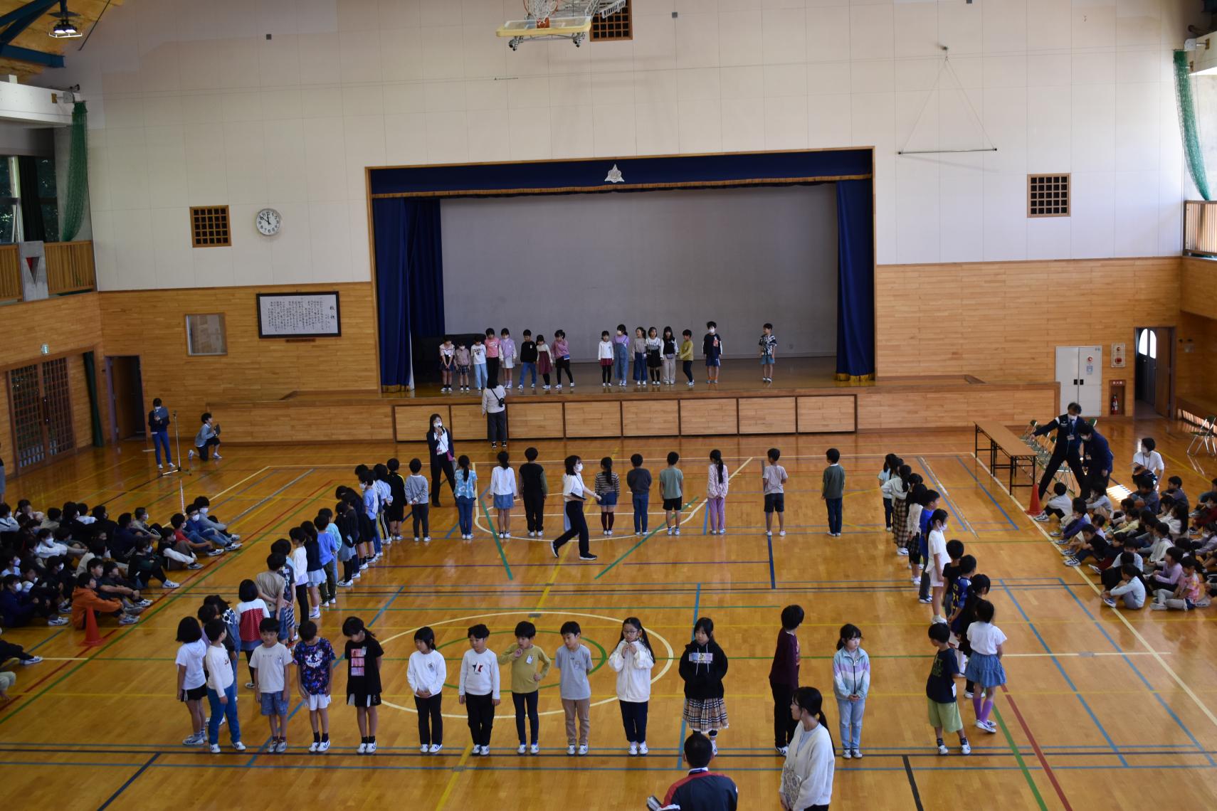 DSC_1248 DSC_1248