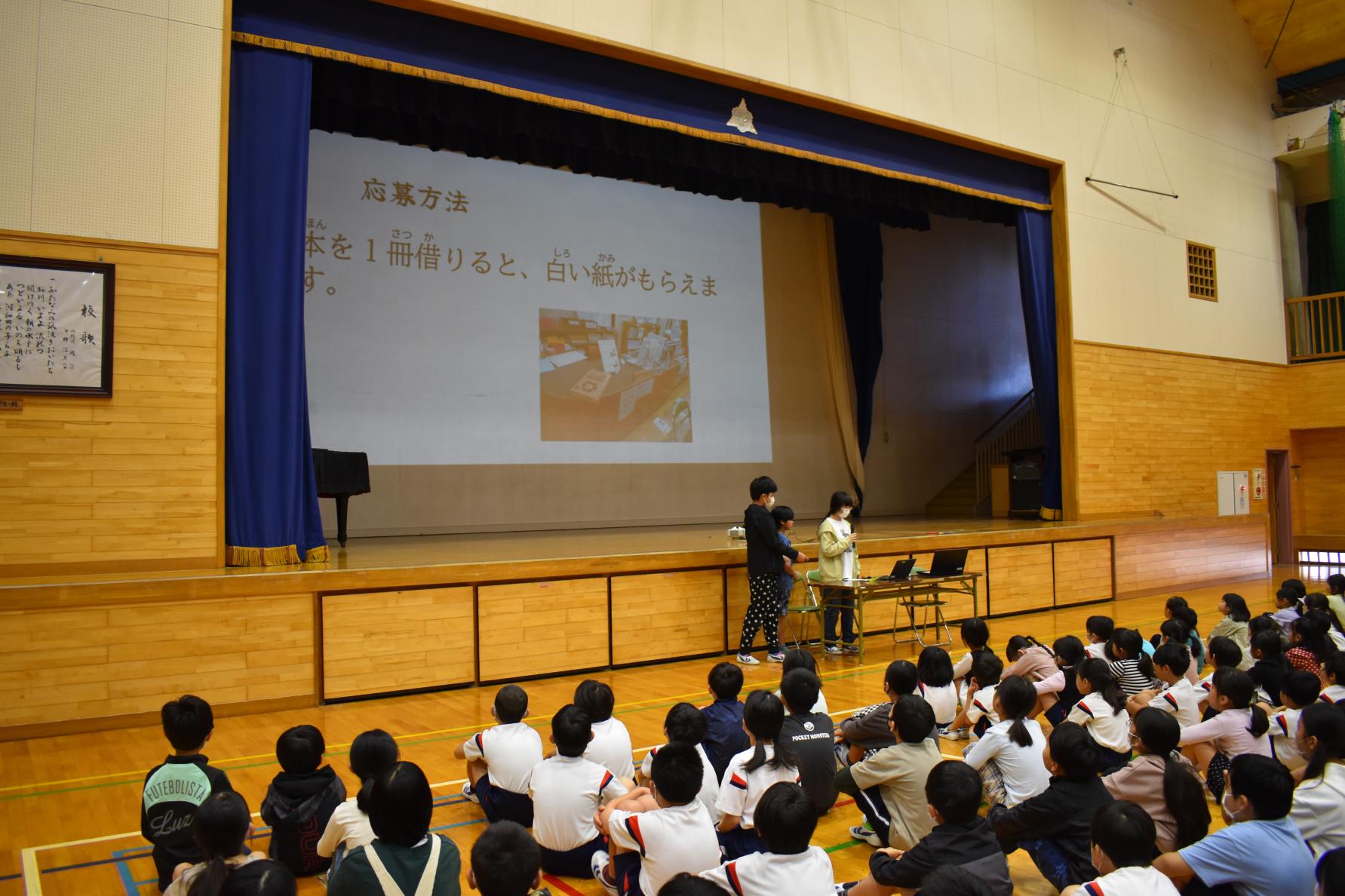 DSC_1264 DSC_1264