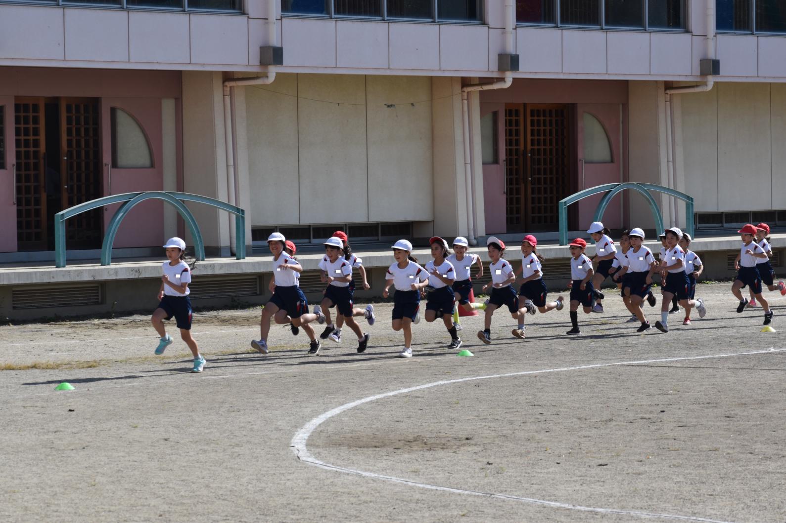 DSC_1284 DSC_1284