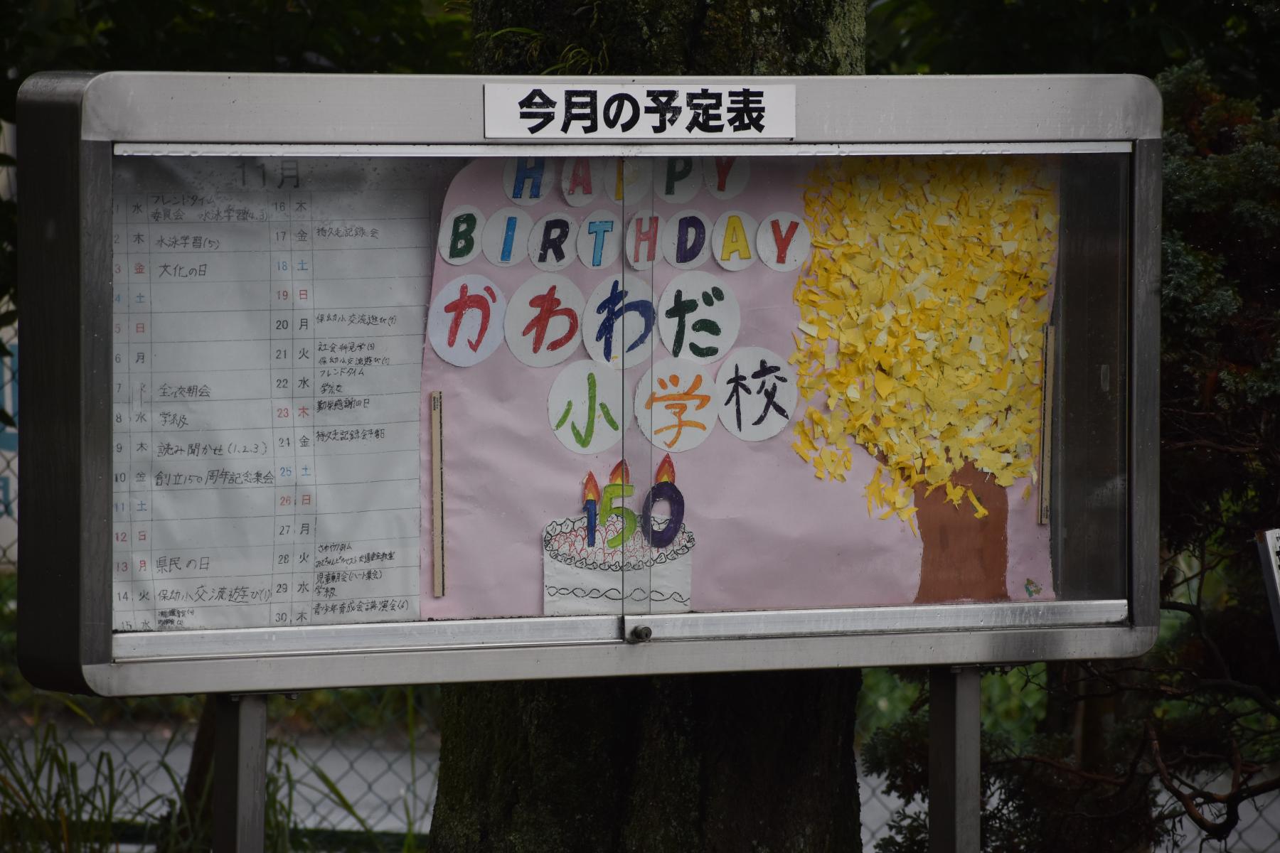 DSC_0329 DSC_0329