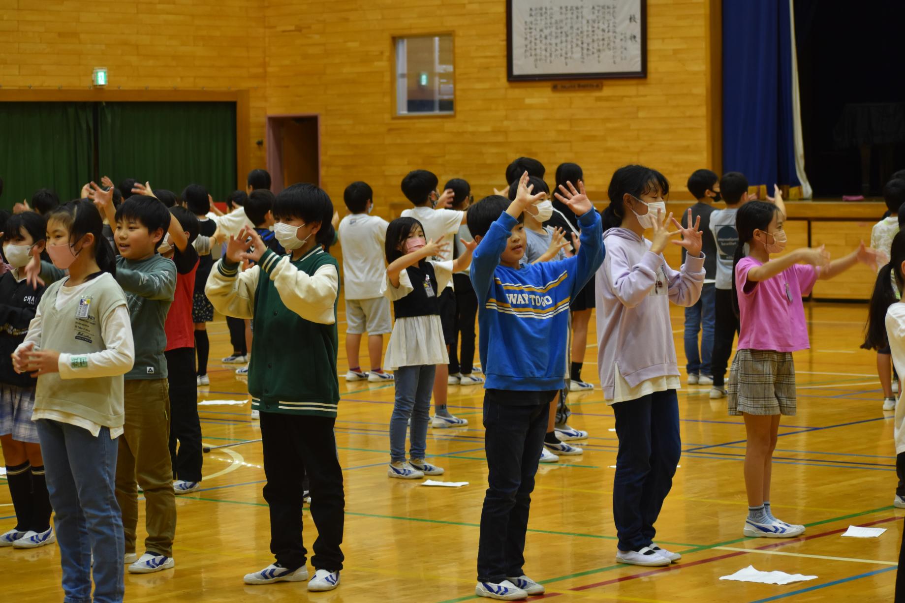 DSC_0348 DSC_0348