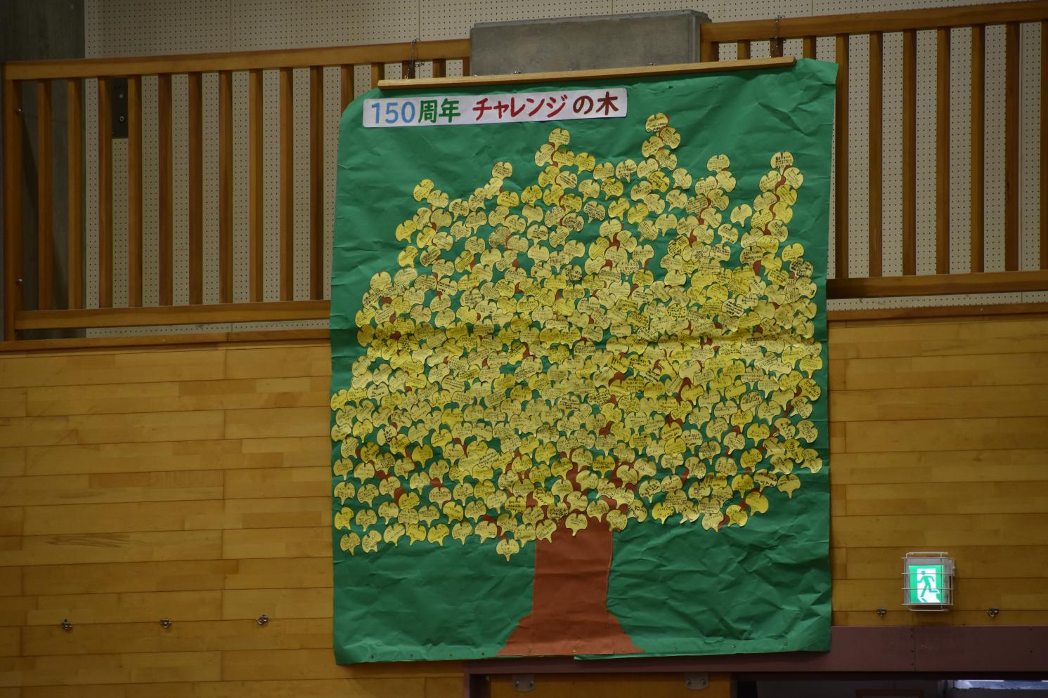 DSC_0345 DSC_0345
