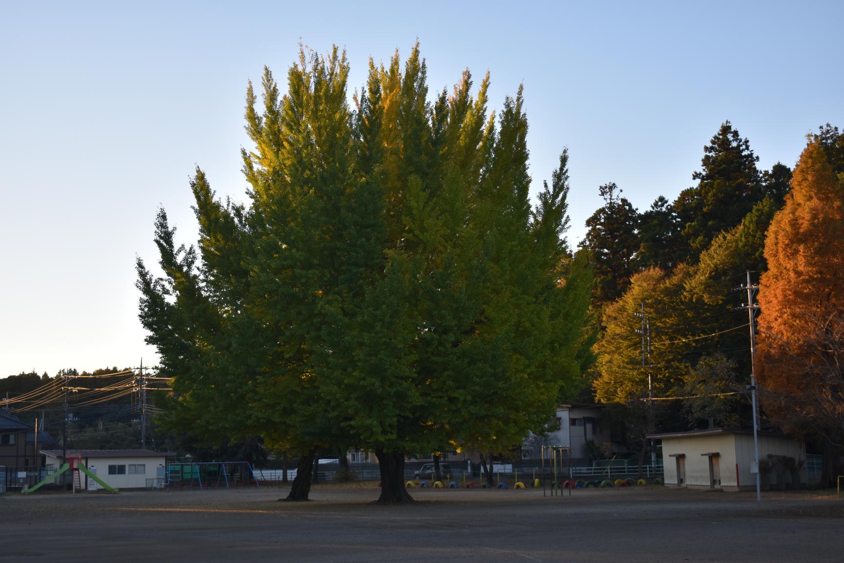 DSC_0456 DSC_0456